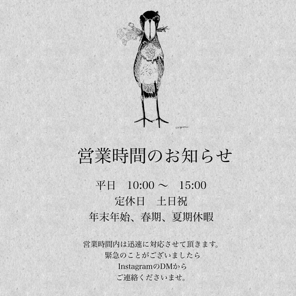 海のいきものカレンダー2026 chippitomu 15枚目の画像