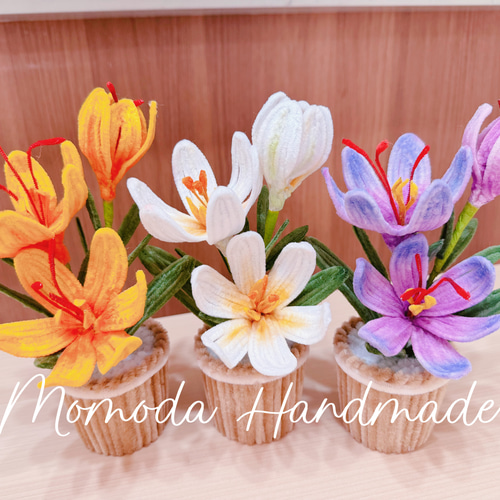 モールフラワー クロッカスの鉢植え 青紫 黄色 白色 ハンドメイド 盆栽