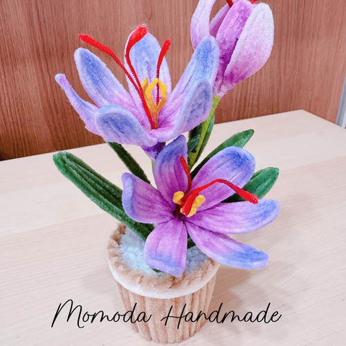 モールフラワー クロッカスの鉢植え 青紫 黄色 白色 ハンドメイド 盆栽