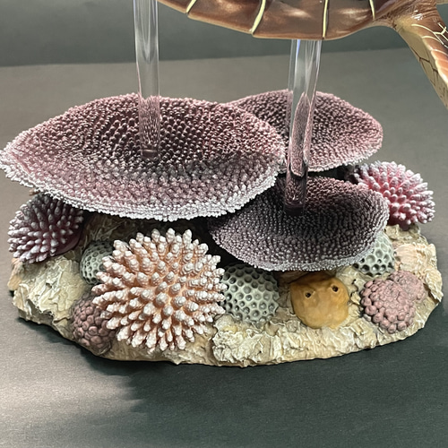 ウミガメの模型 海洋生物 レプリカ (受注生産品) 現在大幅値引き中