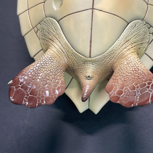 ウミガメの模型 海洋生物 レプリカ (受注生産品) 現在大幅値引き中