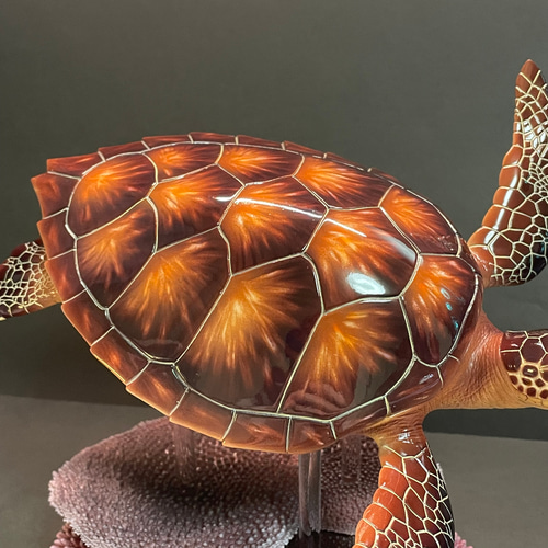 ウミガメの模型 海洋生物 レプリカ (受注生産品) 立体・オブジェ 海中