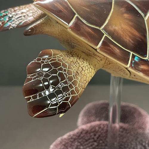 ウミガメの模型 海洋生物 レプリカ (受注生産品) 現在大幅値引き中
