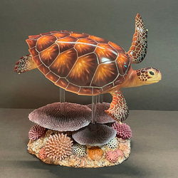 ウミガメの模型 海洋生物 レプリカ (受注生産品) 立体・オブジェ 海中