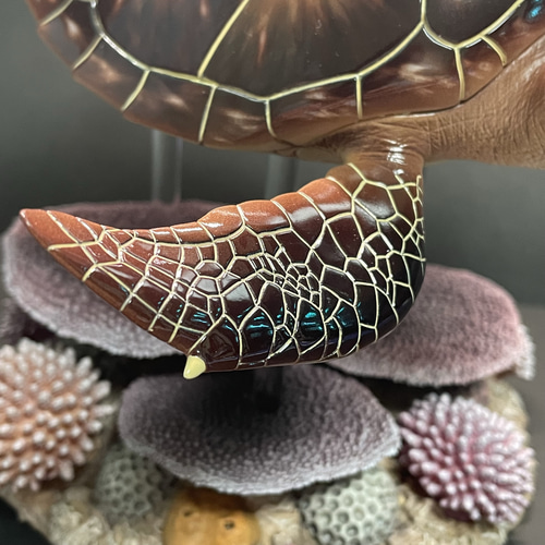 ウミガメ レプリカ 海洋生物 のリアルなハンドメイド作品 ウミガメ レプリカ 海洋生物 のリアルなハンドメイド作品 ウミガメ