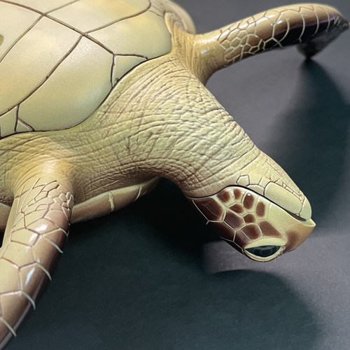 ウミガメの模型 海洋生物 レプリカ (受注生産品) 現在大幅値引き中