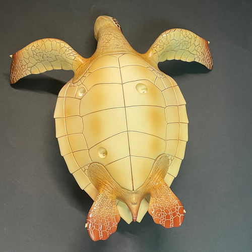 ウミガメ レプリカ 海洋生物 のリアルなハンドメイド作品 ウミガメ レプリカ 海洋生物 のリアルなハンドメイド作品 ウミガメ