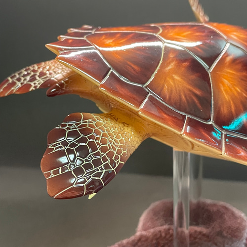 ウミガメ レプリカ 海洋生物 のリアルなハンドメイド作品 ウミガメ レプリカ 海洋生物 のリアルなハンドメイド作品 ウミガメ