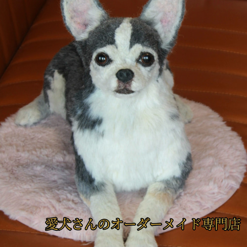 愛犬さんのオーダー》羊毛フェルト オーダー 犬 羊毛フェルト チワワ