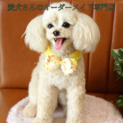 愛犬さんのオーダー》羊毛フェルト オーダー 犬 羊毛フェルト チワワ
