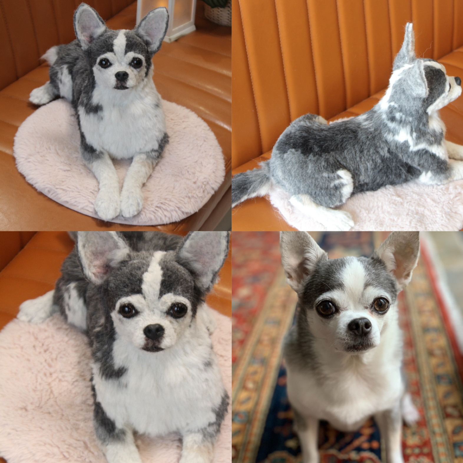 《愛犬さんのオーダー》羊毛フェルト　オーダー　犬　羊毛フェルト　チワワ　リアル　ダックス　ポメラニアン　羊毛フェルト犬