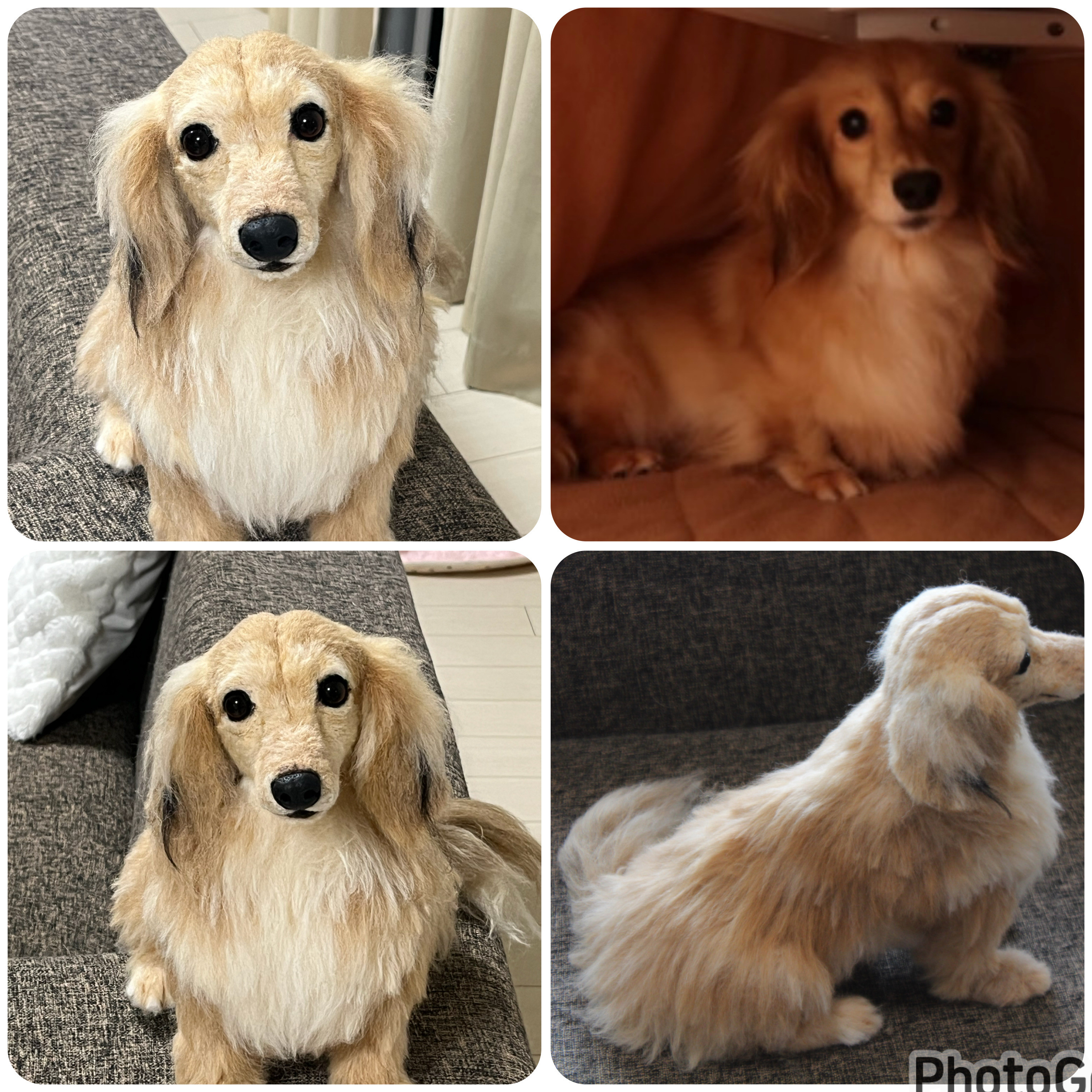 《愛犬さんのオーダー》羊毛フェルト　オーダー　犬　羊毛フェルト　チワワ　リアル　ダックス　ポメラニアン　羊毛フェルト犬