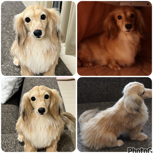 愛犬さんのオーダー》羊毛フェルト オーダー 犬 羊毛フェルト チワワ