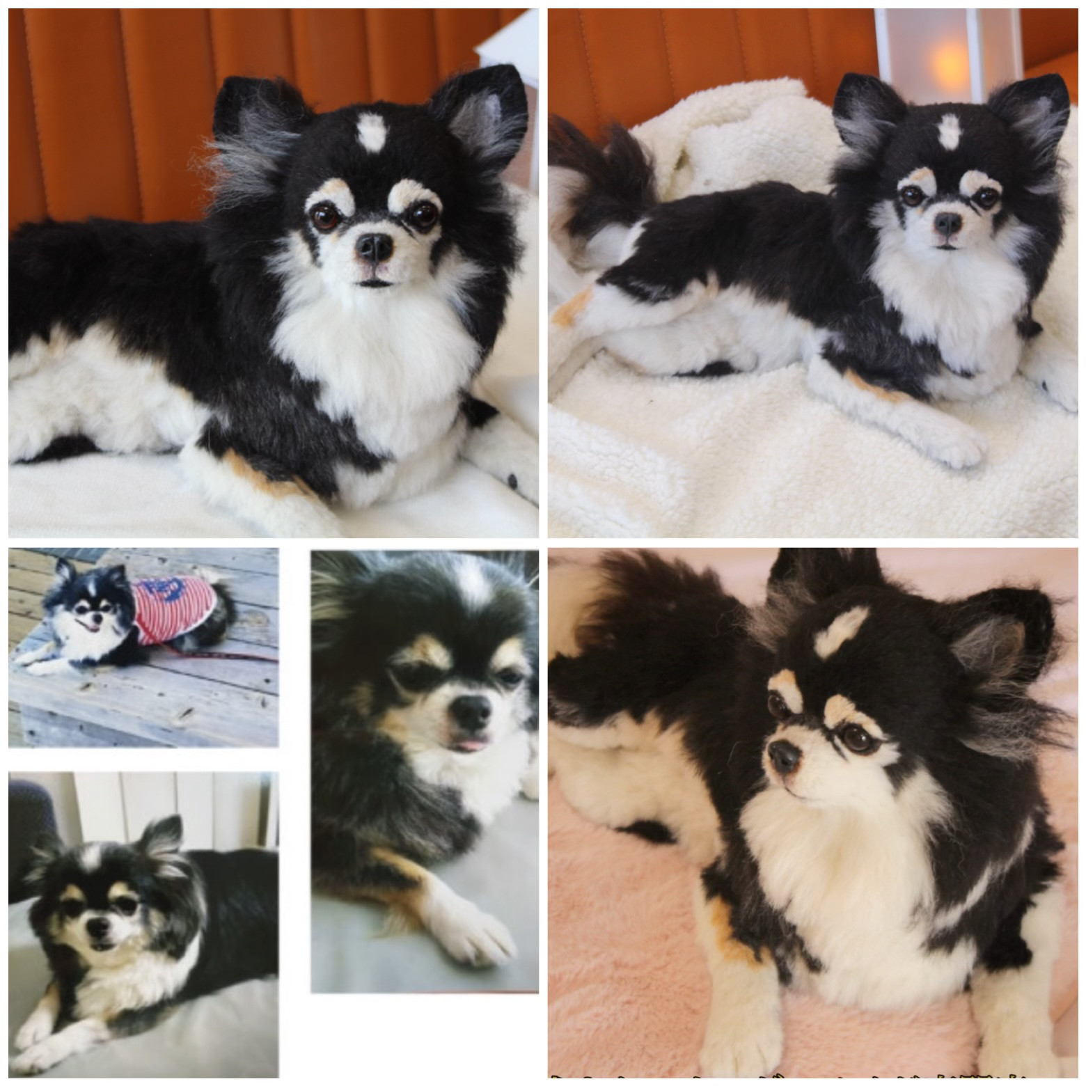 《愛犬さんのオーダー》羊毛フェルト　オーダー　犬　羊毛フェルト　チワワ　リアル　ダックス　ポメラニアン　羊毛フェルト犬