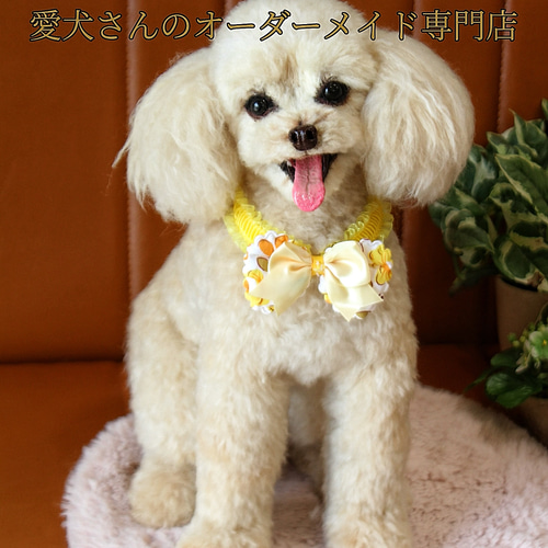 愛犬さんのオーダー》羊毛フェルト オーダー 犬 羊毛フェルト チワワ