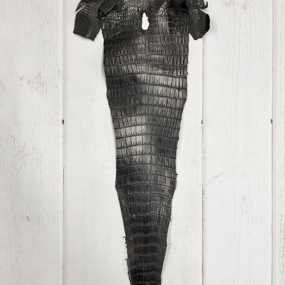 ワニ革　半艶マット　黒　No.C008640 4枚目の画像