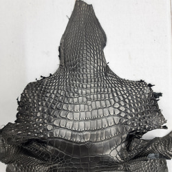 ワニ革　半艶マット　黒　No.C008640 2枚目の画像