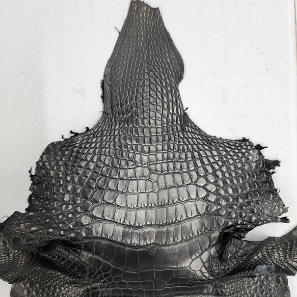 ワニ革　半艶マット　黒　No.C008640 2枚目の画像