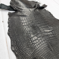 ワニ革　半艶マット　黒　No.C008640 10枚目の画像