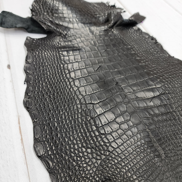 ワニ革　半艶マット　黒　No.C008640 10枚目の画像