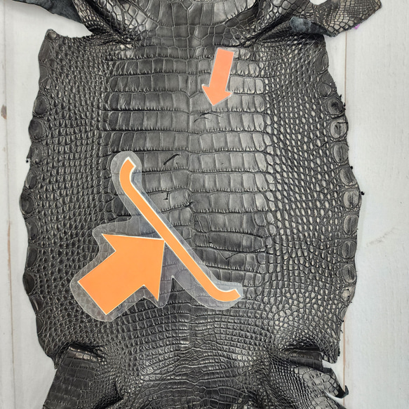 ワニ革　半艶マット　黒　No.C008640 7枚目の画像