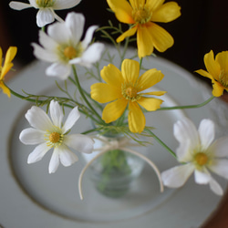 さりげなく可愛い♪キバナコスモスとホワイトコスモス《フェイクウォーターアレンジ》Creema限定 6枚目の画像