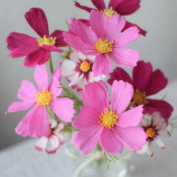 3種類のピンクコスモスアレンジ《フェイクウォーター》Creema限定　【敬老の日　誕生日】 8枚目の画像