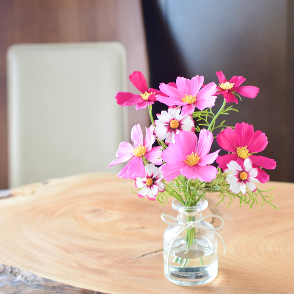 3種類のピンクコスモスアレンジ《フェイクウォーター》Creema限定　【敬老の日　誕生日】 1枚目の画像