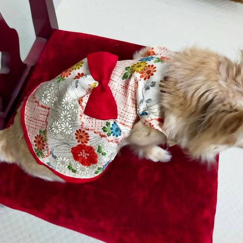 小型犬Sサイズ 着物リメイク小型犬服 一点物 おしゃれ 高級感 着物生地