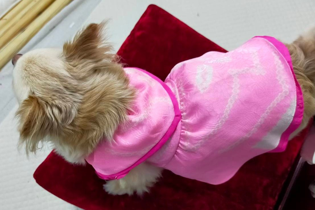 小型犬Sサイズ　着物リメイク小型犬服　一点物　おしゃれ　高級感　着物生地　滑らかな付け心地　特別な日　記念日　プレゼント