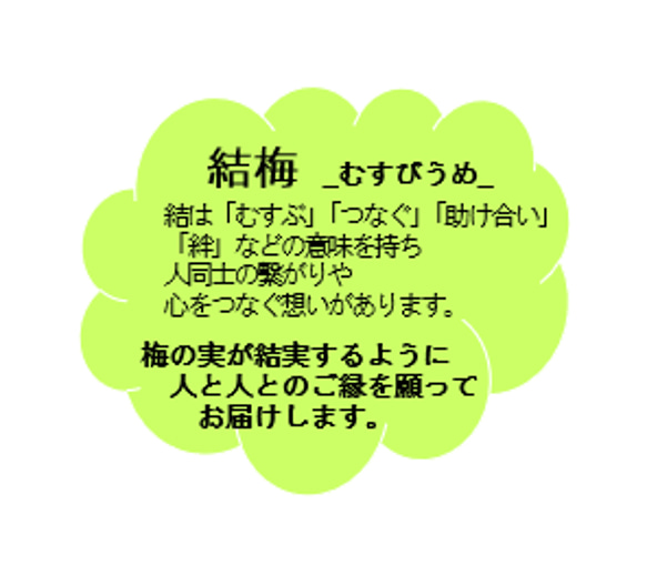 【送料無料】結梅 _むすびうめ_　ごはんのおともセット 3枚目の画像