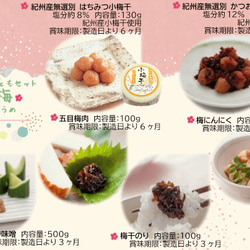 【送料無料】結梅 _むすびうめ_　ごはんのおともセット 2枚目の画像