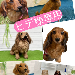 受注製作》羊毛フェルト ダックスフンド 額入り オーダー 羊毛フェルト