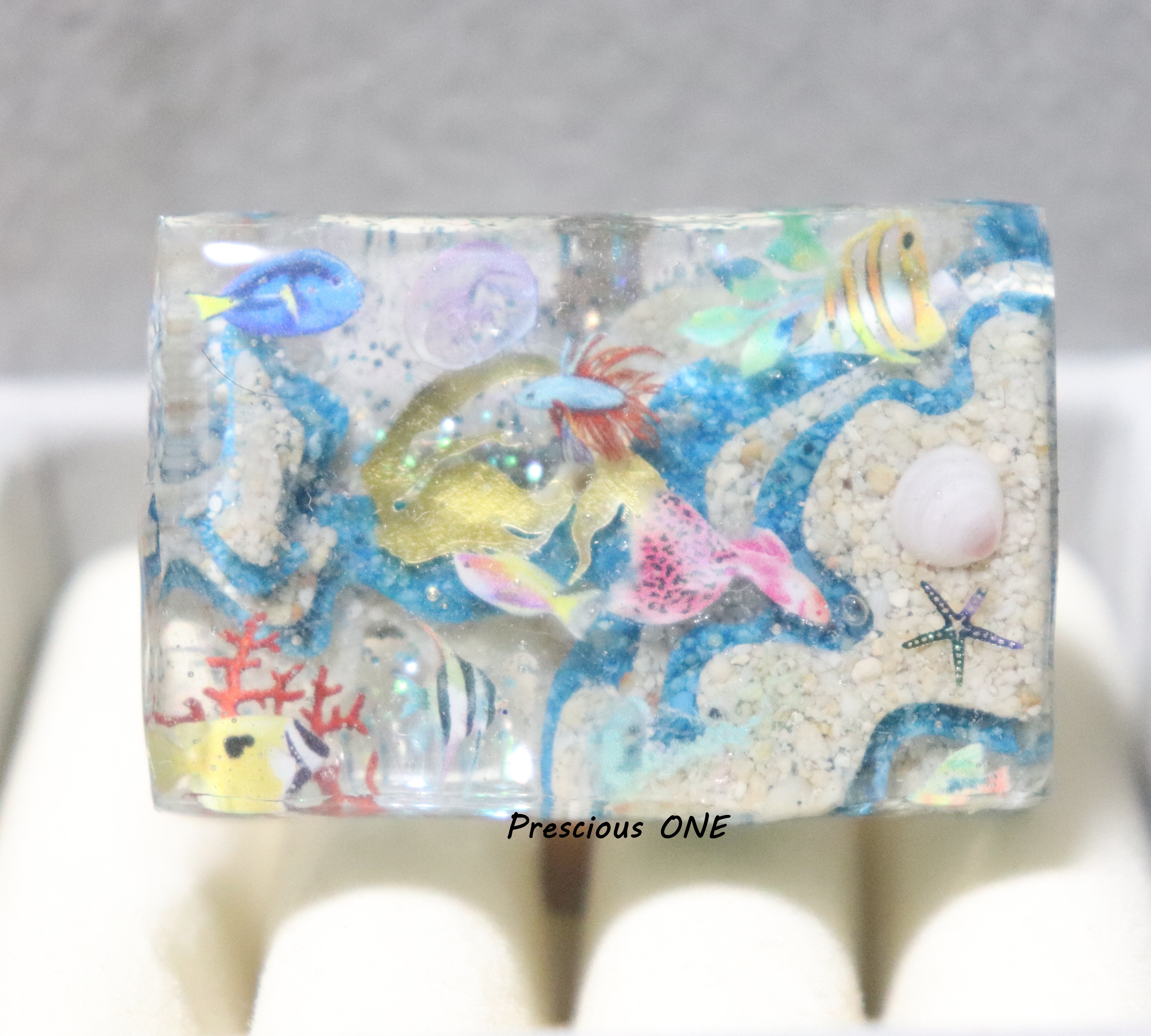 Ocean topography（海の地形）～Coast（drop）～