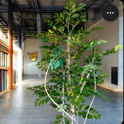 光触媒　人工観葉植物　ウォールグリーン　フェイクグリーン　トネリコ11553 6枚目の画像