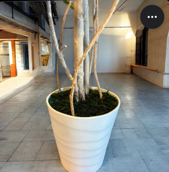 光触媒　人工観葉植物　ウォールグリーン　フェイクグリーン　トネリコ11553 7枚目の画像