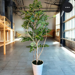 光触媒　人工観葉植物　ウォールグリーン　フェイクグリーン　トネリコ11553 2枚目の画像