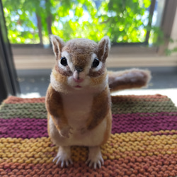 羊毛フェルト 日本リス 羊毛フェルト Musa 通販 15398816｜Creema