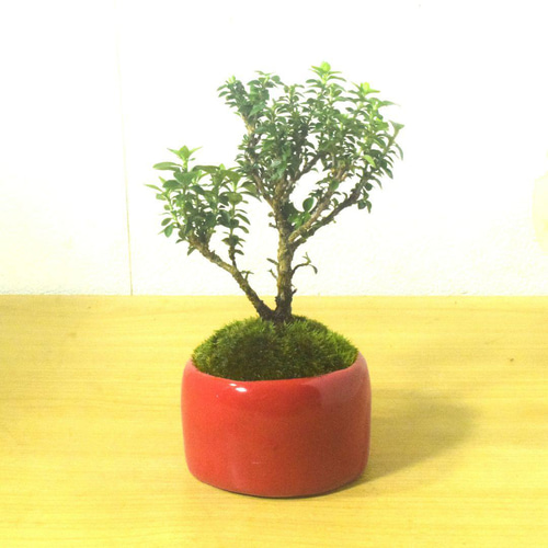 八方青花亭台楼高足鉢 盆栽鉢 植木鉢 多肉植物鉢 小品盆栽鉢 山野草鉢 八方青花亭台楼高足鉢 盆栽鉢 植木鉢 多肉植物鉢 小品盆栽