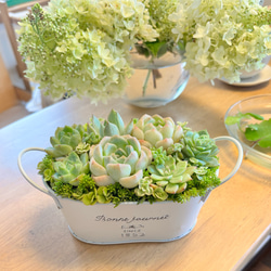 多肉植物リメイク鉢寄せ植え(*´꒳`*) 多肉植物 寄せ植え アレンジ 素焼き鉢 おうちプレゼント 多肉