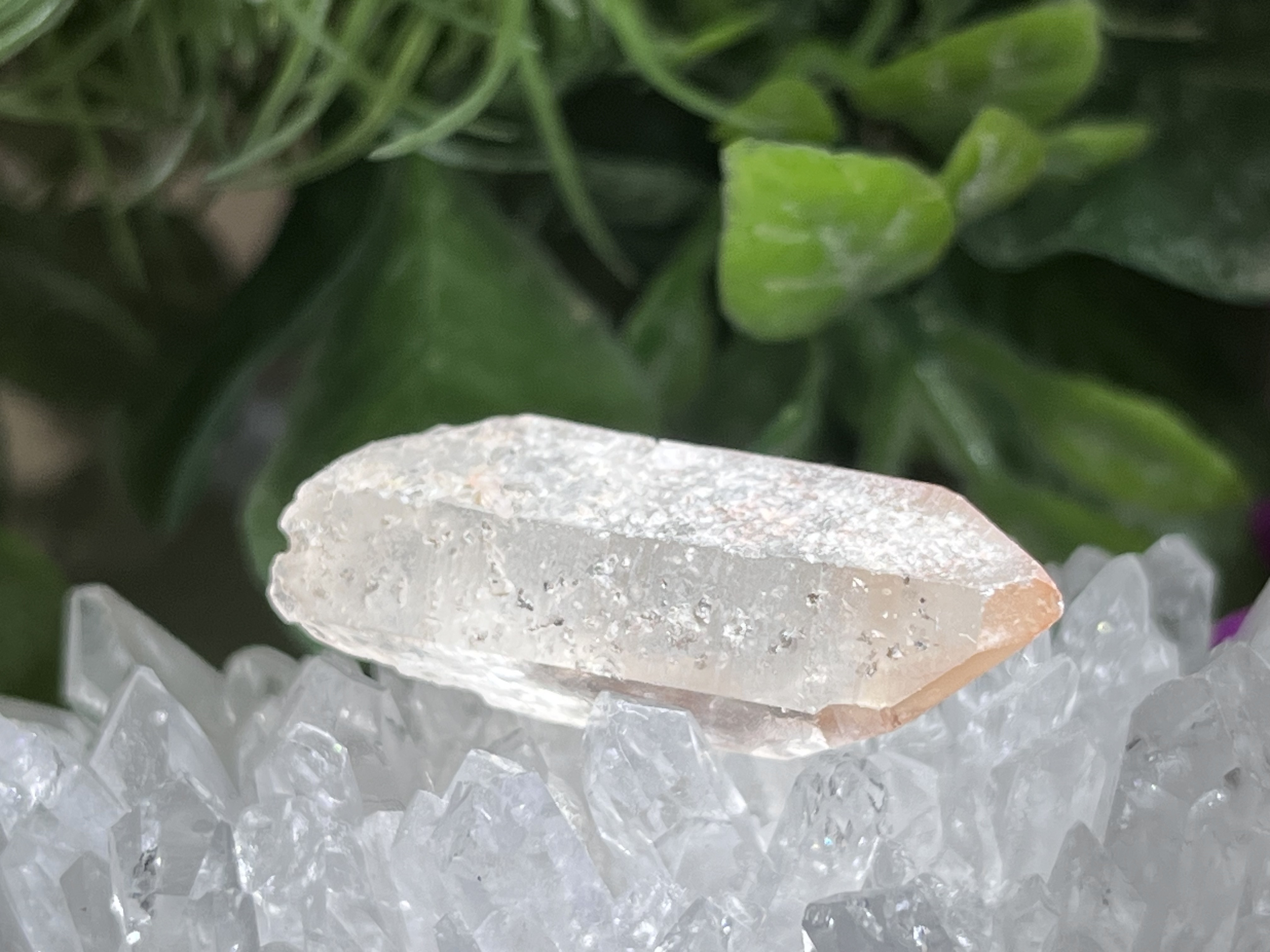 スターゲイザー✴︎ ピンクレムリアンシードクリスタル　マスタークリスタル　水晶