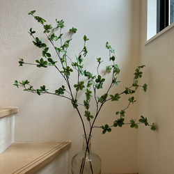 [送料込み] ドウダンツツジ N12 フェイクグリーン　2本　110cm 枝 1枚目の画像