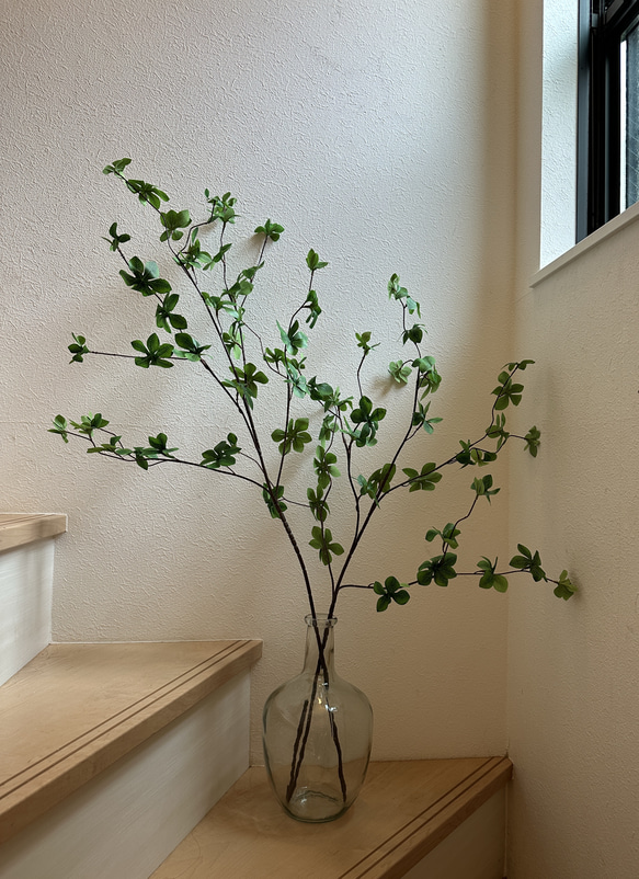 [送料込み] ドウダンツツジ N12 フェイクグリーン　2本　110cm 枝 1枚目の画像