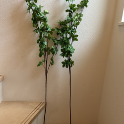 [送料込み] ドウダンツツジ N12 フェイクグリーン　2本　110cm 枝 5枚目の画像