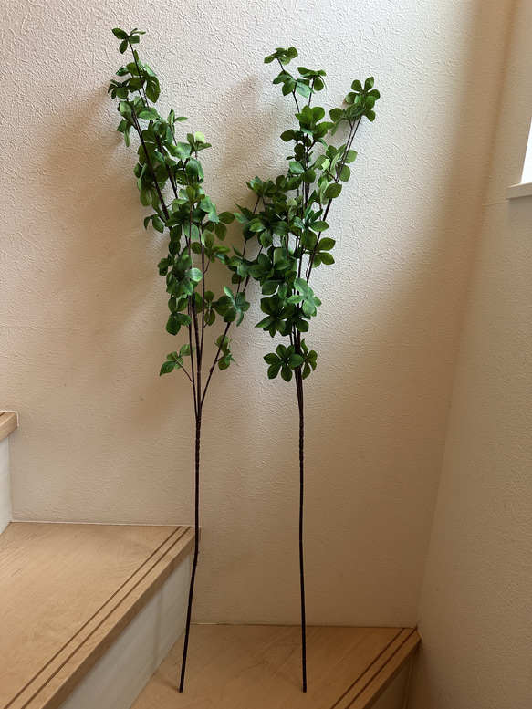 [送料込み] ドウダンツツジ N12 フェイクグリーン　2本　110cm 枝 5枚目の画像