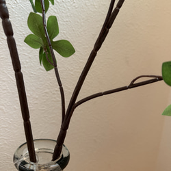 [送料込み] ドウダンツツジ N12 フェイクグリーン　2本　110cm 枝 4枚目の画像