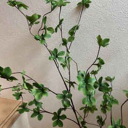 [送料込み] ドウダンツツジ N12 フェイクグリーン　2本　110cm 枝 3枚目の画像