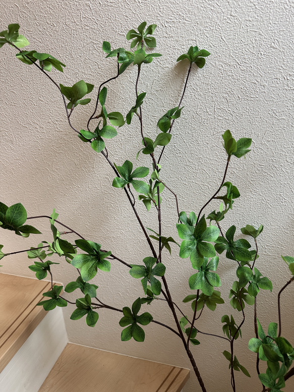 [送料込み] ドウダンツツジ N12 フェイクグリーン　2本　110cm 枝 3枚目の画像