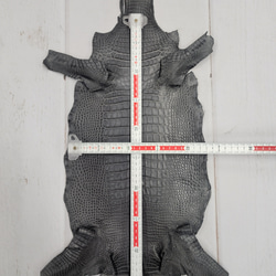 ワニ革　クレイフィニッシュ　墨黒　No.C008673 5枚目の画像