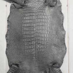 ワニ革　クレイフィニッシュ　墨黒　No.C008673 3枚目の画像